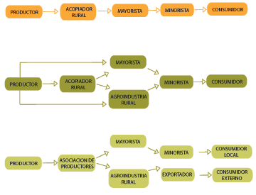 Informe de Cadenas Productivas